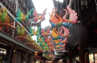 Vibrant lanterns shaped like butterflies and swans hanging in a decorated street market.